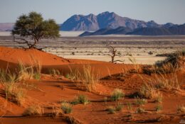 Namibia_April_2025 (15/79)